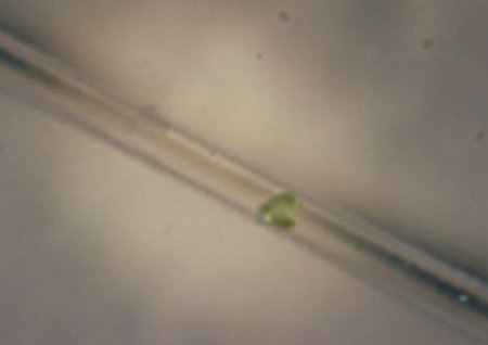 Зелёный кристалл трибромида калифорния