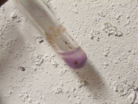 Гидроокись кобальта