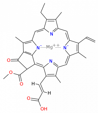 Хлорофилл c1