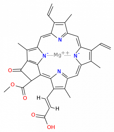 Хлорофилл c2
