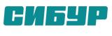 Амурский ГХК проектируется как цифровое предприятие.