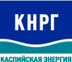 Уникальный проект России: строительство арктической платформы по принципу "распределенной верфи".