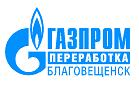 В газохимический кластер Амурской области ищут инвестиции.
