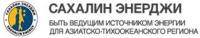 "Сахалин Энерджи" приняла участие в X Петербургском международном газовом форуме.