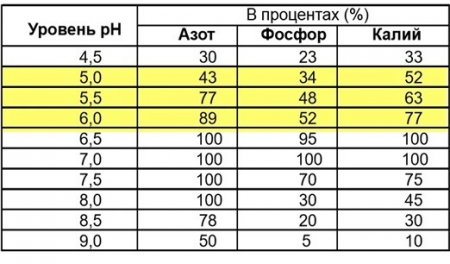 Дефицит удобрений и стратегии сельхозпроизводителей.