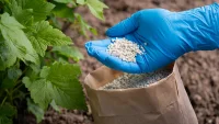 Фермеры стран ЕС призвали отложить повышение пошлин на российские удобрения
