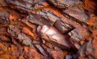В Австралии нашли уникальное месторождение железной руды