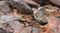Цена на медь умеренно снижается в понедельник утром