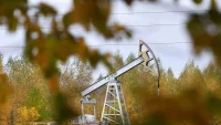Эксперт дал прогноз по ценам на нефть в 2025 году