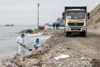 Ученые оценили восстановление экосистемы после ЧП с танкерами в Черном море