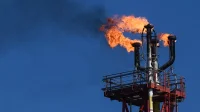 Страны ОПЕК+ могут продолжить наращивание нефтедобычи в июле, пишут СМИ