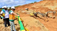 Индонезия приостановила добычу никеля на райских островах