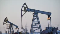 "Сургутнефтегаз" увеличил запасы нефти в 2024 году